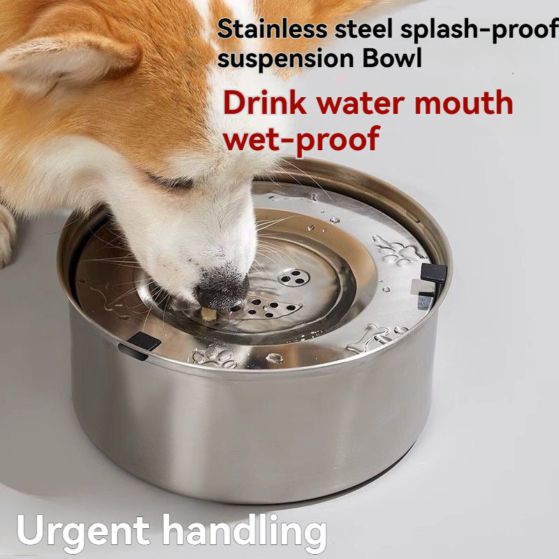 Automatic pet water dispenser – keeps dogs and cats hydrated