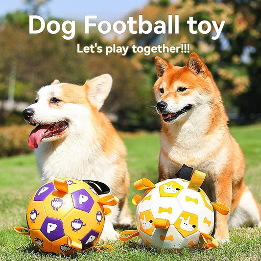 Interactive football toy for dogs – great for play and exercise