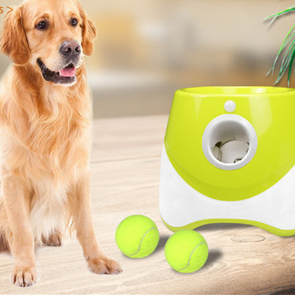 Automatic Dog Ball Launcher