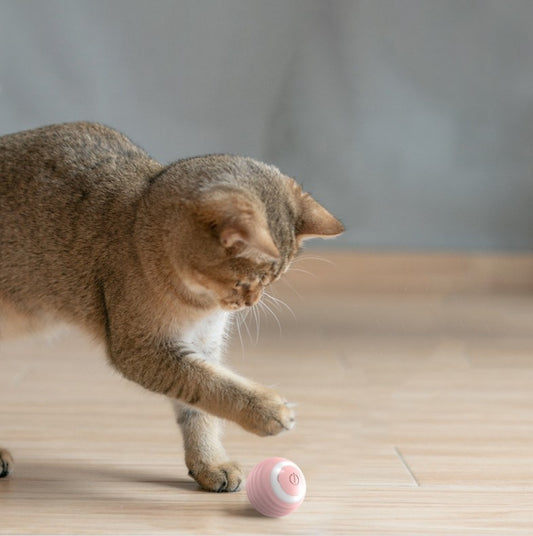 Rechargeable automatic smart cat toy – interactive play toy for cats