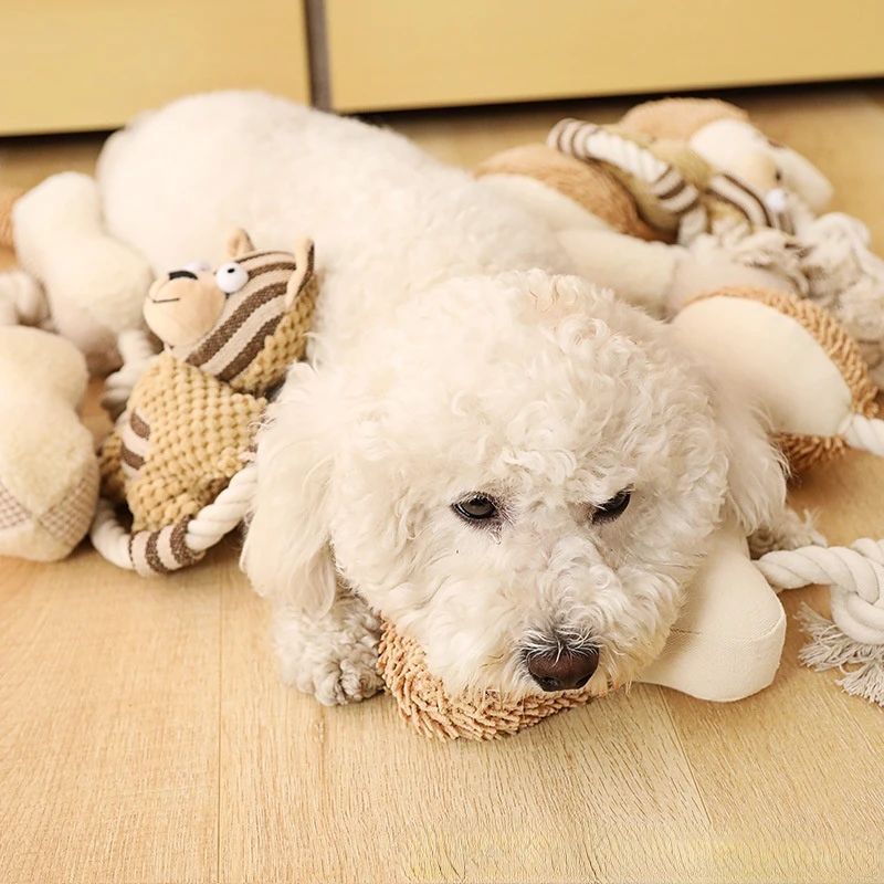 Petzaroo Cotton Rope Teeth Cleaning Bite-Resistant Toy