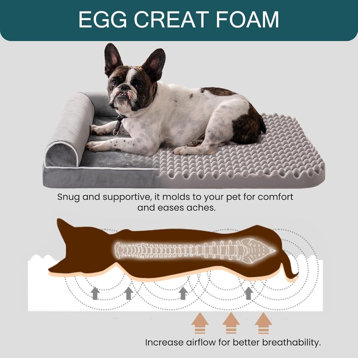 Orthopedic Dog Bed For Medium Sized Dogs Waterproof Washable Cover
