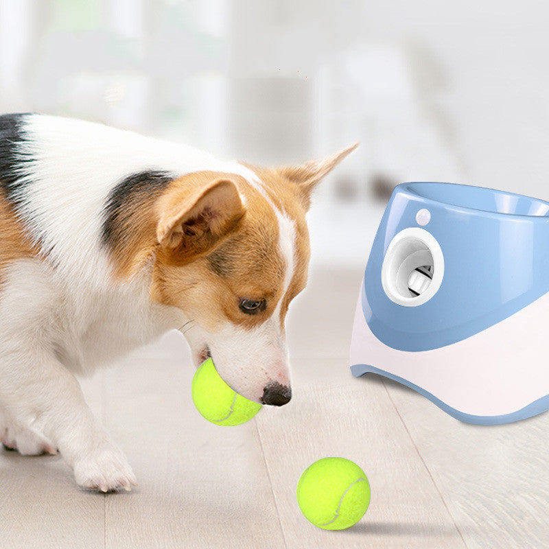 Automatic Dog Ball Launcher