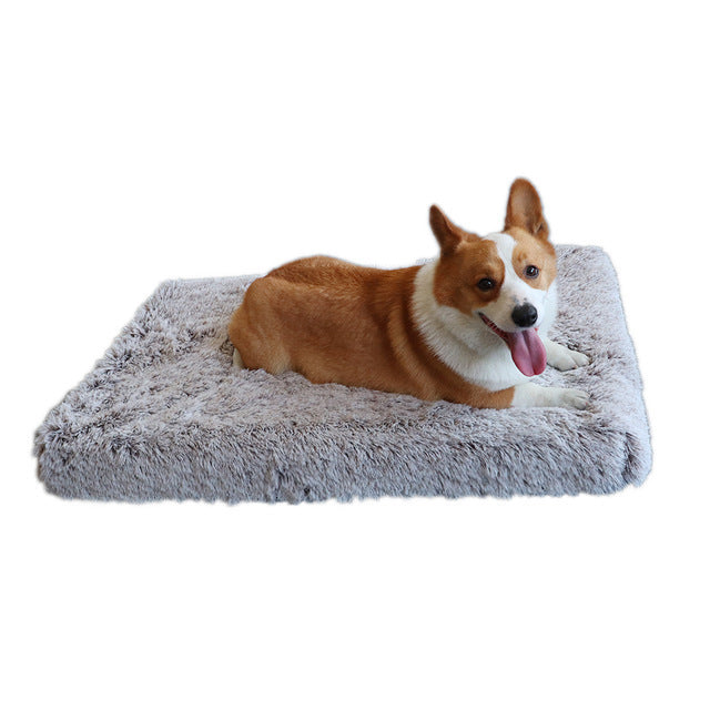 Plush Square Orthopedic  Dog Calming Bed
