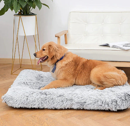 Plush Square Orthopedic  Dog Calming Bed