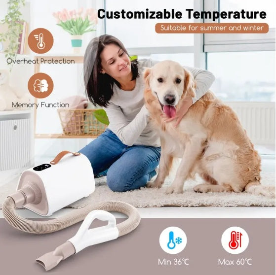 Pet Groomer With Negative Ion Function And Adjustable Temperature