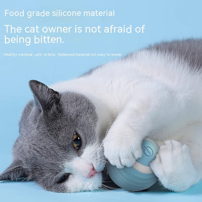 Rechargeable Automatic Smart Cat Toy