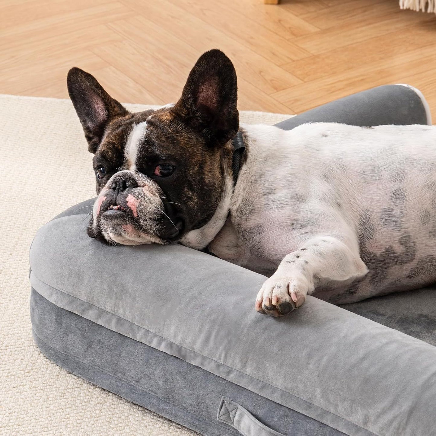 Orthopedic Dog Bed For Medium Sized Dogs Waterproof Washable Cover