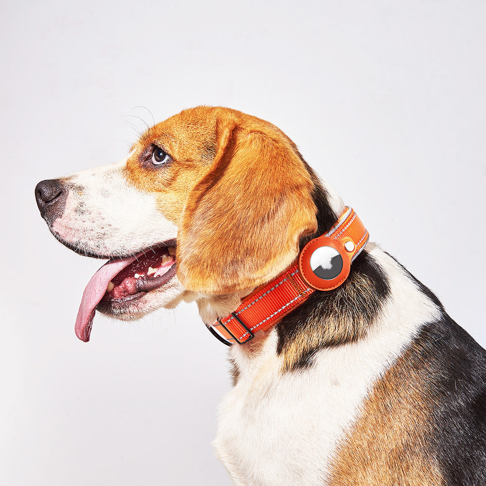 Premium Pet Leather Collar with Holder